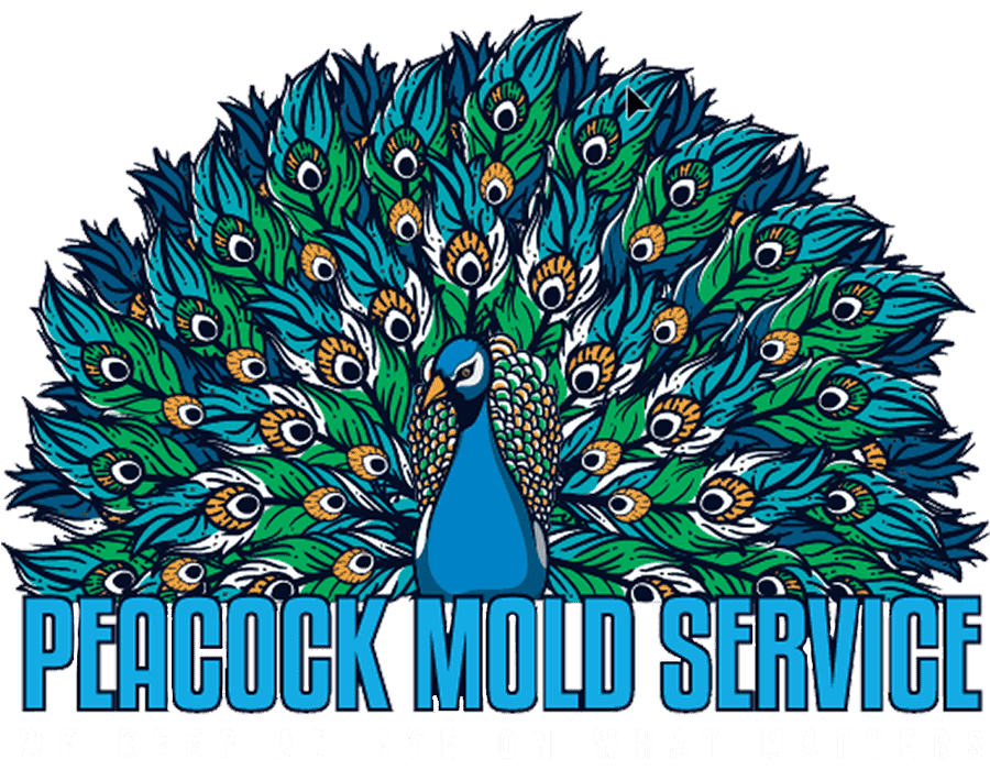 Peacock Mold Services LLC